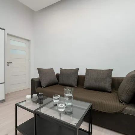 Nowomiejska Spacious Near Plac Wolnosci In By Renters Apartment Lodz (Lodz)