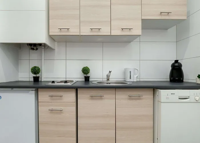 Nowomiejska Spacious Near Plac Wolnosci In By Renters Appartement